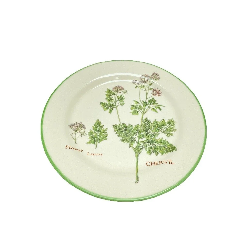 WILLIAMS SONOMA Set 4 Culinary Herbs Lunch Plate BORAGE Chervil THYME Dandelion